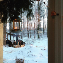 view from farm store