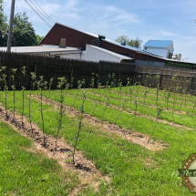 Photo 2019-07-04, 1 05 17 PM