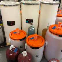 Photo 2019-07-04, 1 07 47 PM