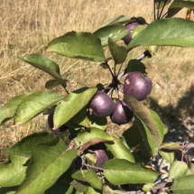 04FBA6D8-C0B6-4A7C-9EE7-714C73678BEC_1_105_c