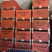 3838DCFF-8145-4D9E-B906-6F95C64F9D50_1_105_c