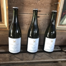 44D12C3F-CC90-4AAA-B2A0-3962F2840379_1_105_c