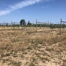 49F7063F-DFDD-4386-8C1E-0F1244741FCE_1_105_c