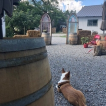 8649030D-BA07-44A6-BA00-DC1B6809CEA6_1_105_c