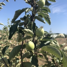 9A8002CA-CE94-45BB-B86C-D1B3122D4F4B_1_105_c