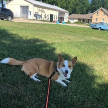 B695FDDA-9F8B-465D-AB67-58C776C9AB20_1_105_c