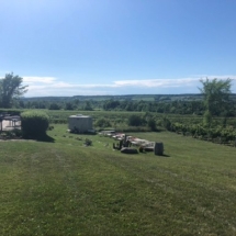 BD49CE19-1EEE-46A8-9B91-E19B09CE0A8B_1_105_c