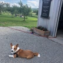 BF3CF4B6-30AD-4AF7-B11C-C2B6C8A15C11_1_105_c