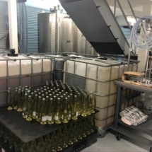 C02C42D8-8C37-4BF5-BC46-BFC210949E43_1_105_c