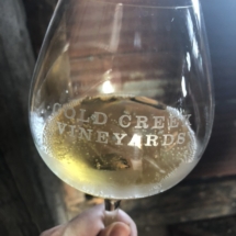 D676CE27-AF56-451D-9E1B-6E8E1A2ED11A_1_105_c