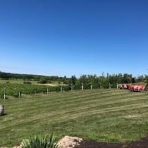 D89DA01F-6B3E-4D84-9BBD-FC2A1CCC6969_1_105_c