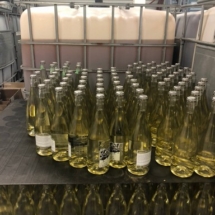 E61C4F86-61F3-4F8F-A267-3F785E524F18_1_105_c