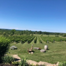 EA8936EC-24DE-4B9D-B07B-0519D3B1B6C8_1_105_c