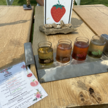 0ADC742E-FAB8-42B8-8BFD-F6E03FC6A4F3_1_105_c