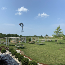 9B01E566-A002-4B43-83B9-306B5E8A1CB2_1_105_c