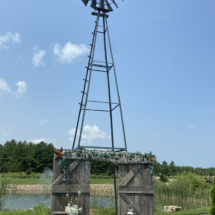 CF65A2A4-563F-4691-BDDC-B59F09234B09_1_105_c