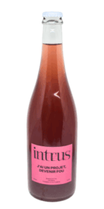 Intrus – Devenir Fou